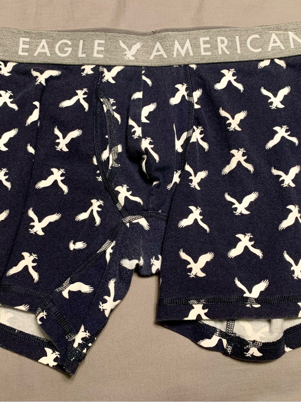 American Eagle Outfitters Navy Boxer Briefs with White Eagle Print